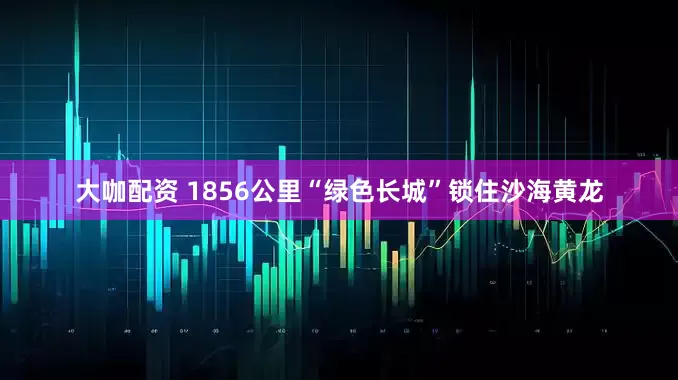大咖配资 1856公里“绿色长城”锁住沙海黄龙