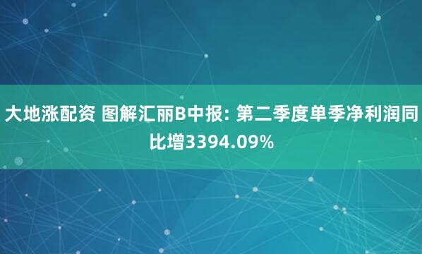 大地涨配资 图解汇丽B中报: 第二季度单季净利润同比增3394.09%